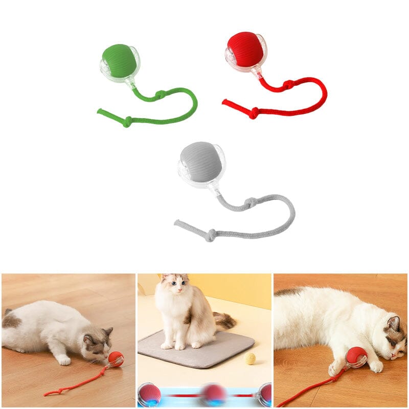 Balle interactive LED pour chat pour utilisation intérieure | Rêve
