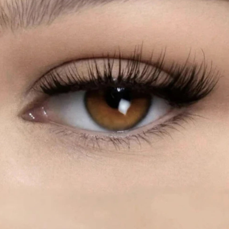 Faux cils magnétiques réutilisables avec pince magnétique | Rêve