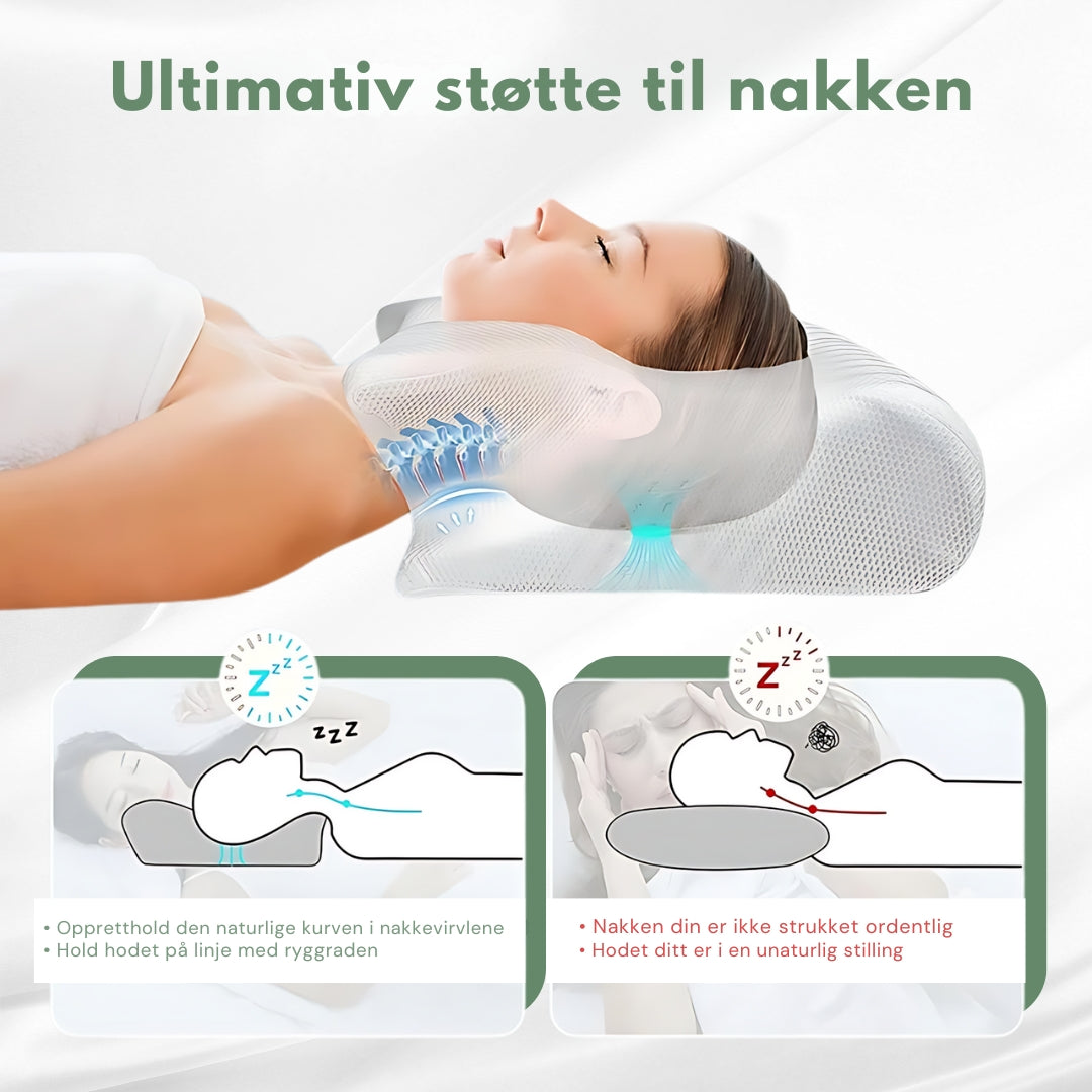 Oreiller orthopédique ergonomique SleepAlign pour un sommeil sans douleur | Rêve