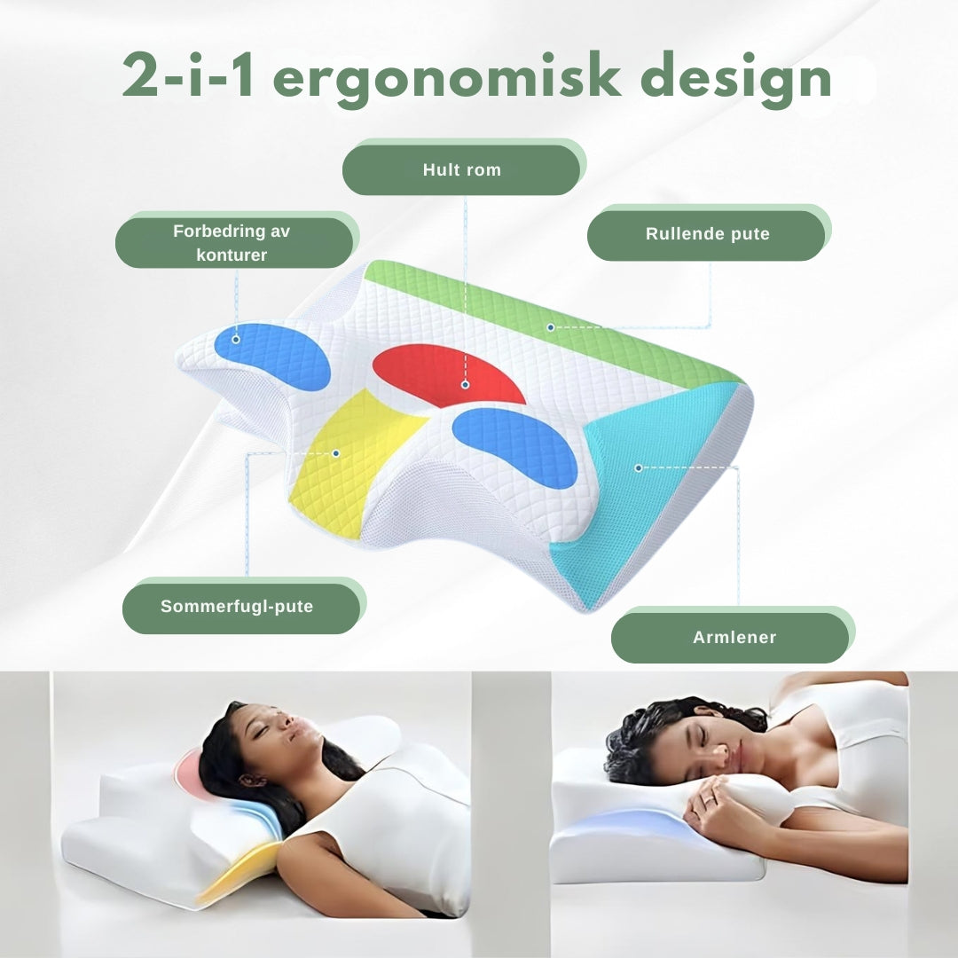 Oreiller orthopédique ergonomique SleepAlign pour un sommeil sans douleur | Rêve