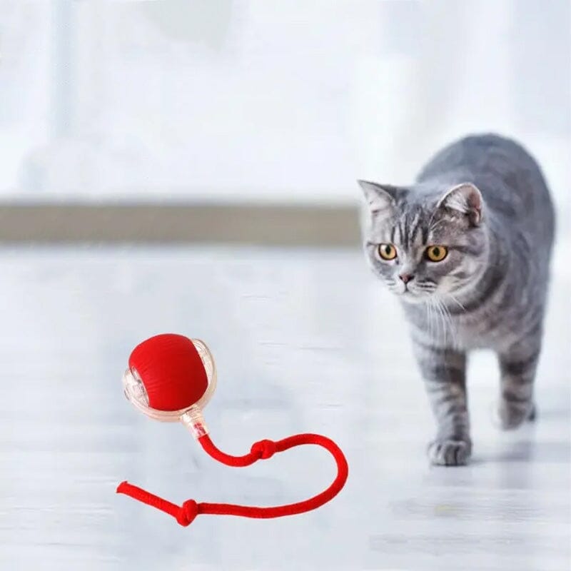 Balle interactive LED pour chat pour utilisation intérieure | Rêve