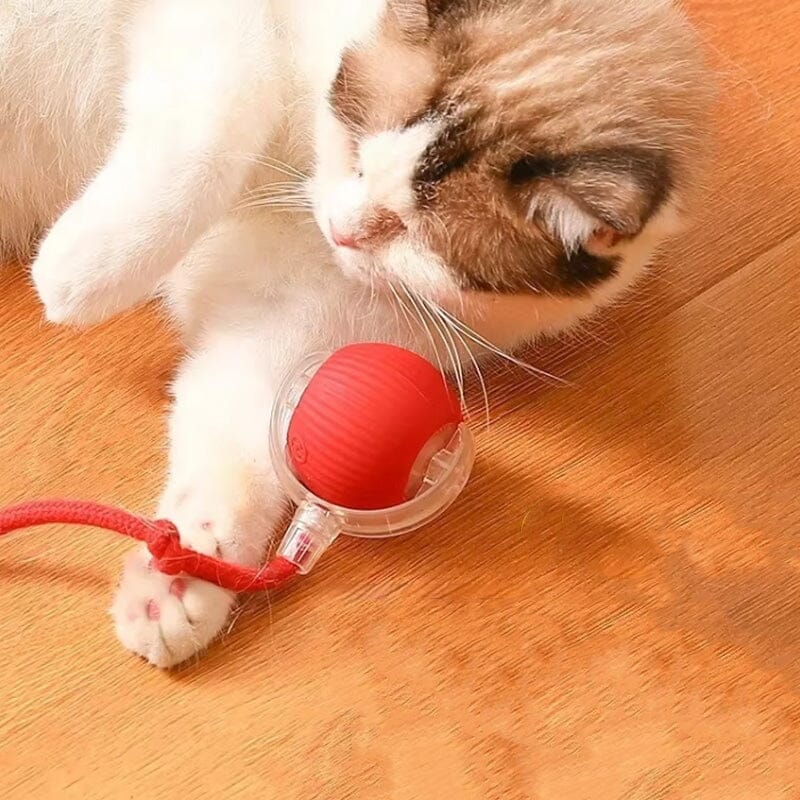 Balle interactive LED pour chat pour utilisation intérieure | Rêve