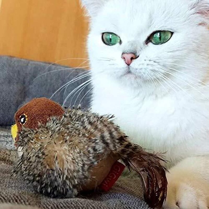 Jouet pour chat avec son simulé d’oiseau | Rêve